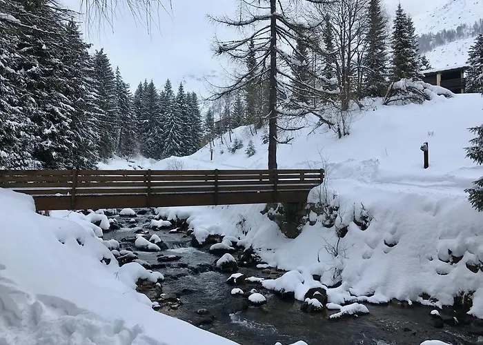 Cinquesensi - La Zoca *